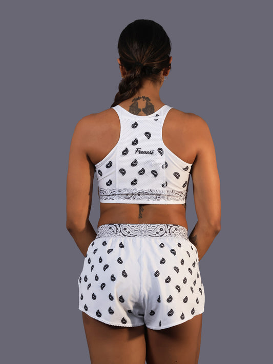 Set Molécula Blanco